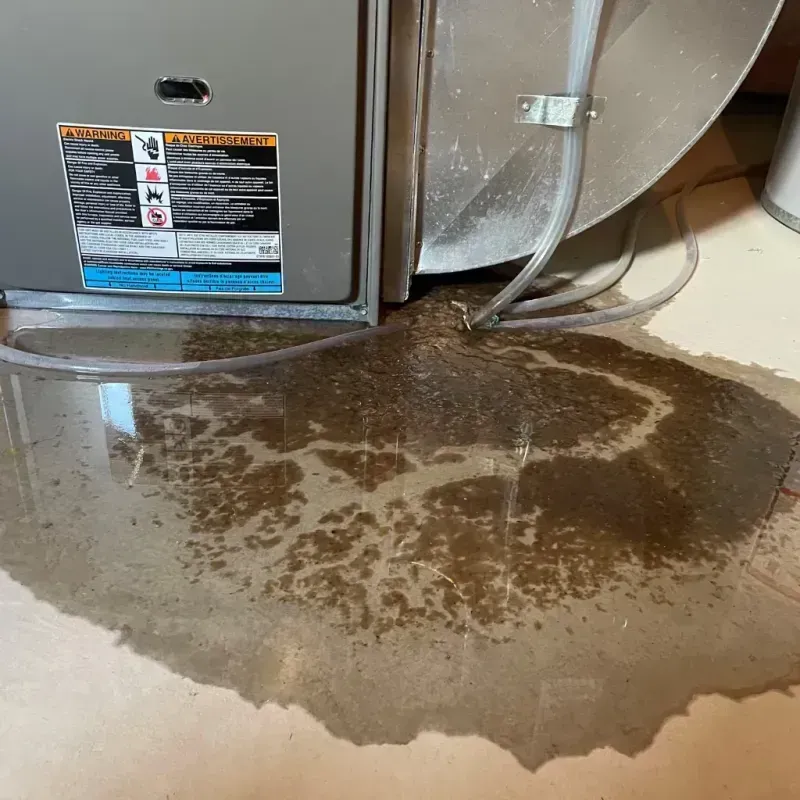 Appliance Leak Cleanup in Bay Pines, FL